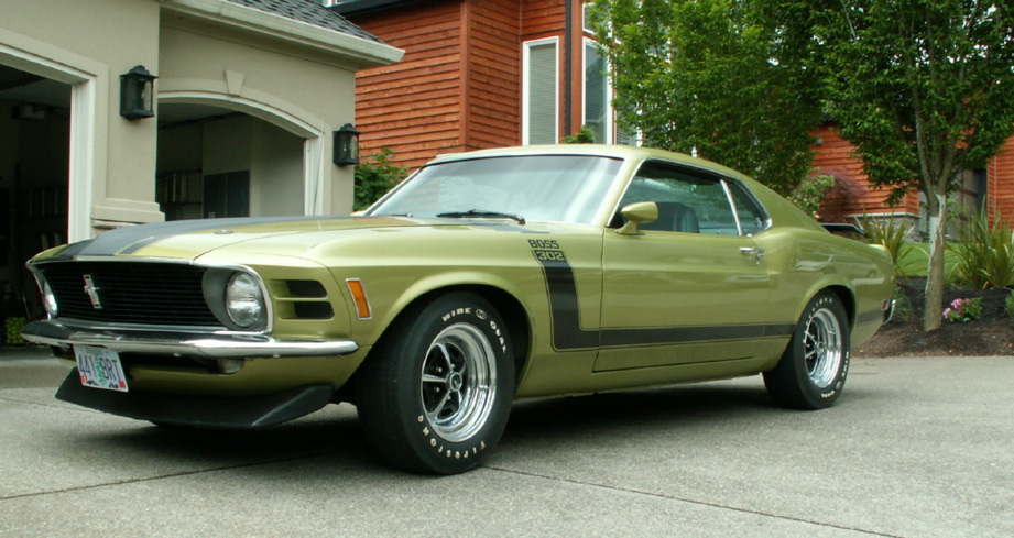 1970 Ford mustang monarch foe sale #8