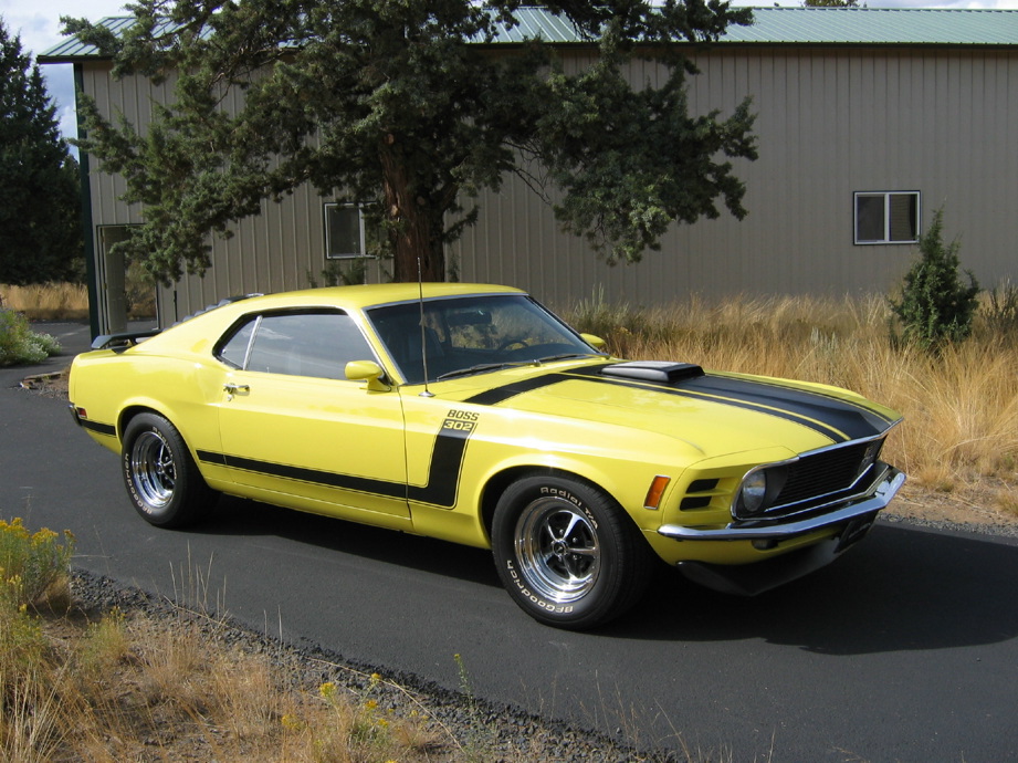 1970 Ford mustang monarch foe sale #6